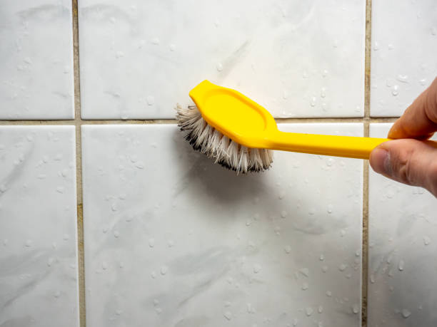 Best Residential Mold Removal  in New Square, NY