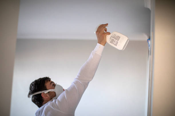 Best Attic Mold Removal  in New Square, NY