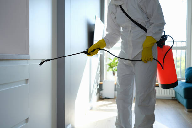 Best Emergency Mold Removal  in New Square, NY